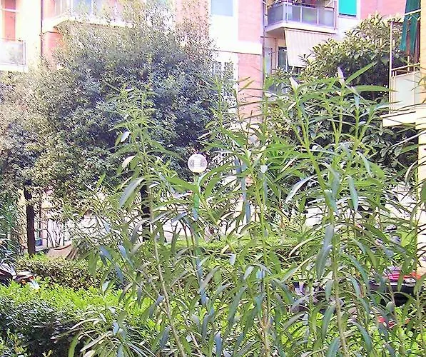 Whatshouse بيت ضيافة